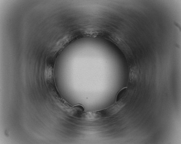 X0000103470623200809191837