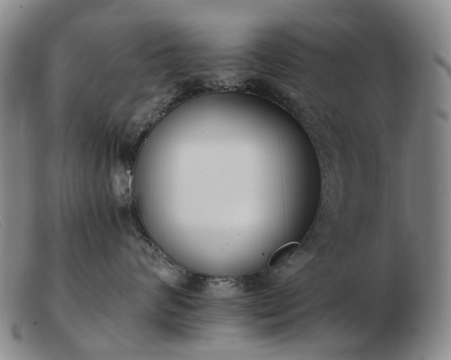 X0000103470624200809191837