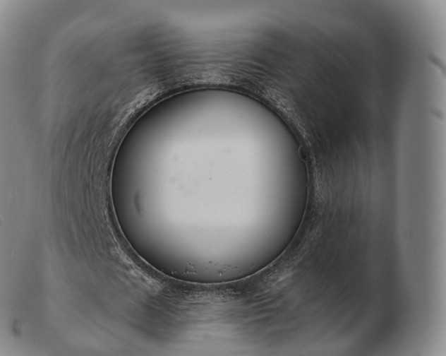 X0000103470625200809191836