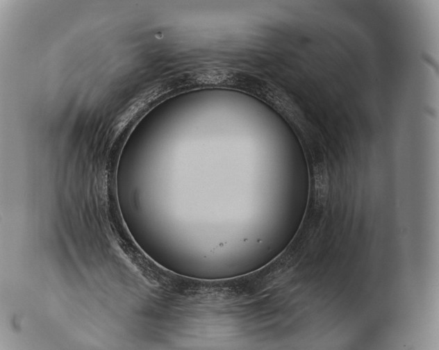 X0000103470626200809191836