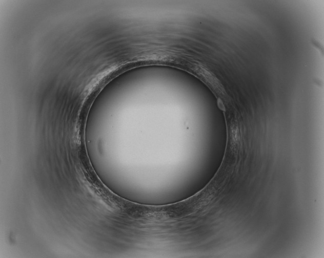 X0000103470628200809191836