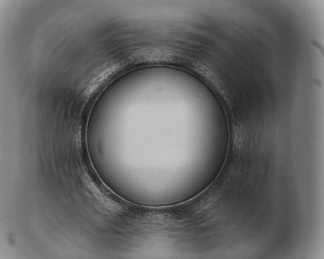 X0000103470629200809191836