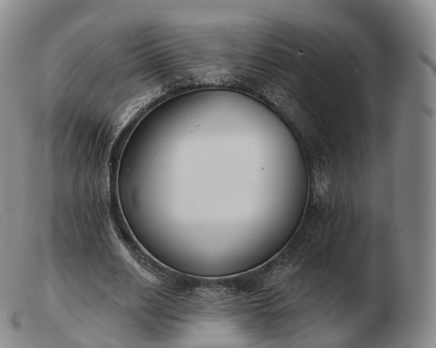 X0000103470630200809191836