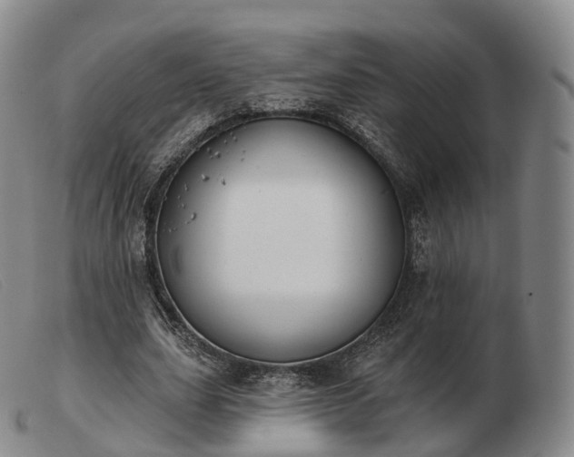 X0000103470631200809191836