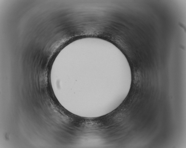 X0000103470632200809191836