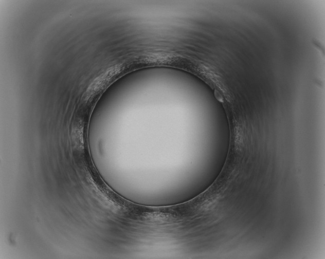 X0000103470633200809191836