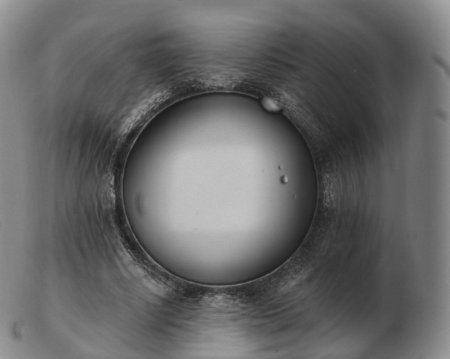 X0000103470634200809191836