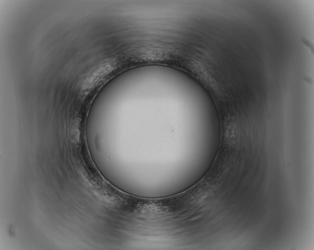 X0000103470635200809191836