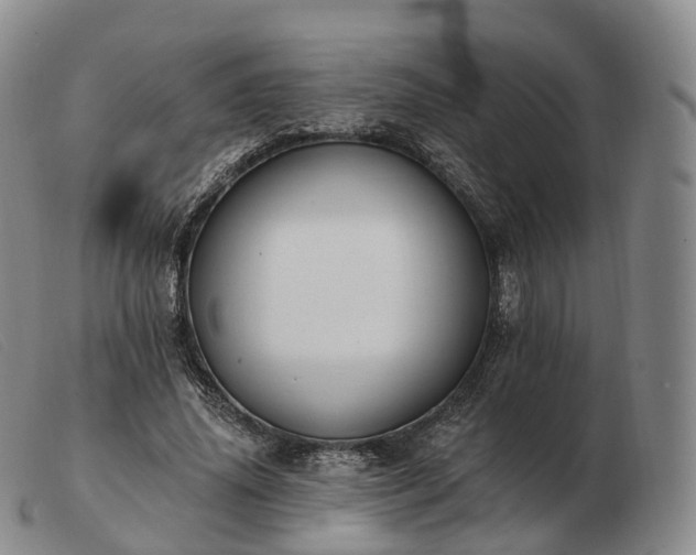 X0000103470636200809191836