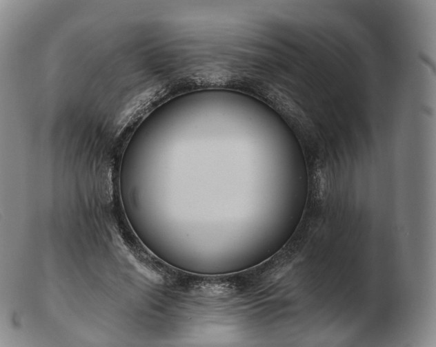 X0000103470638200809191836