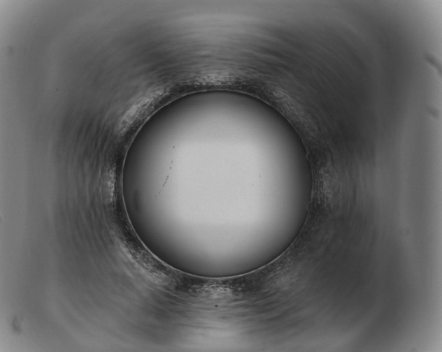 X0000103470640200809191836