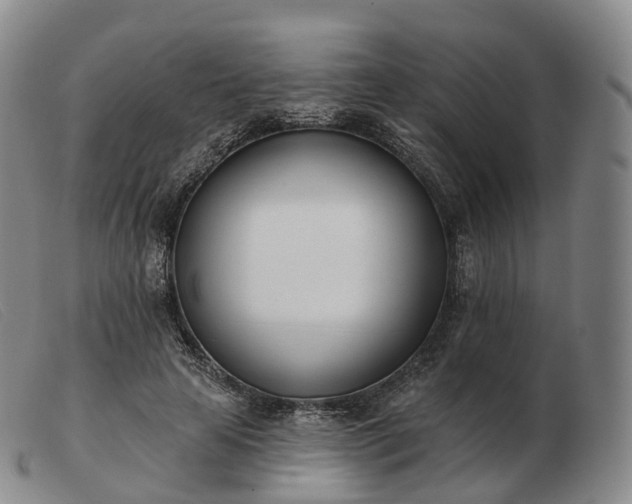 X0000103470641200809191836