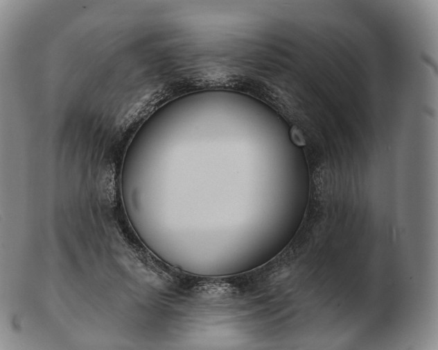 X0000103470642200809191836