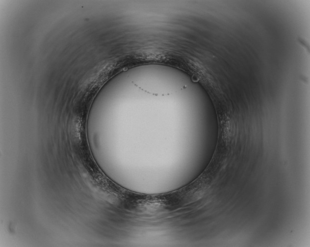 X0000103470643200809191836