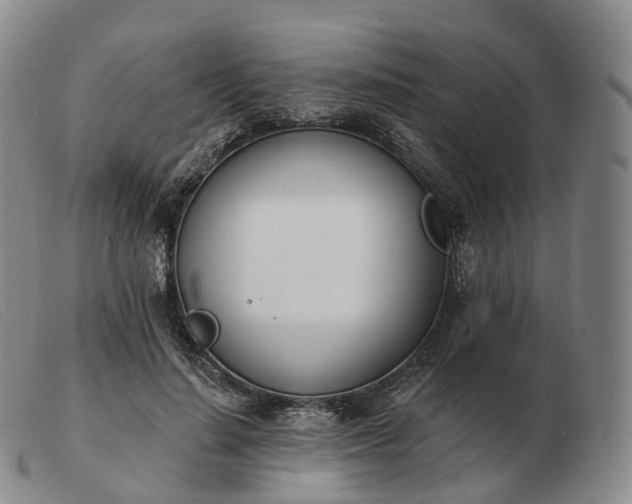 X0000103470644200809191836