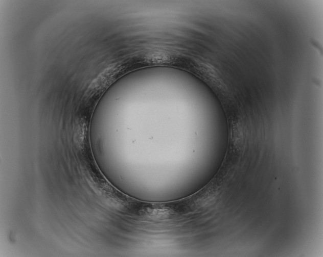 X0000103470645200809191836