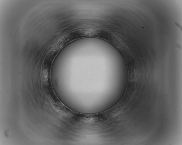 X0000103470646200809191836