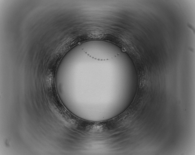 X0000103470647200809191836