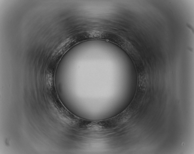 X0000103470648200809191836