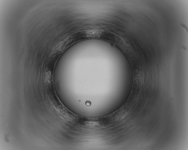 X0000103470649200809191836