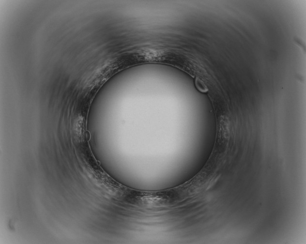 X0000103470650200809191836