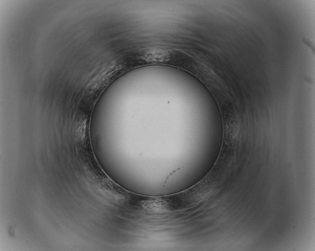 X0000103470652200809191836