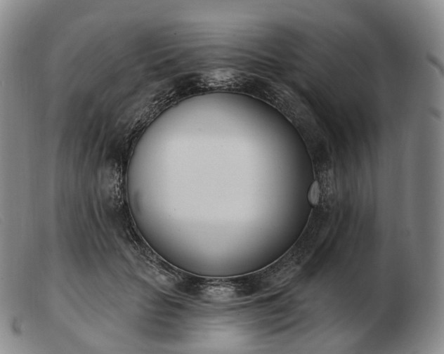 X0000103470653200809191836