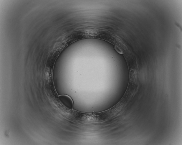 X0000103470655200809191836