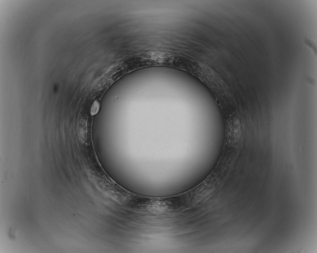 X0000103470656200809191836