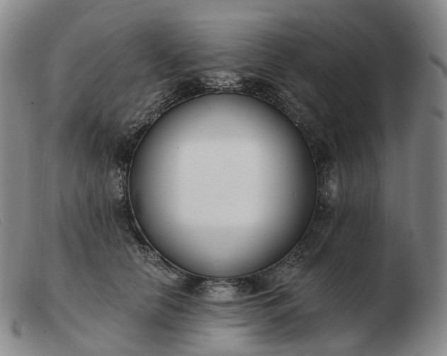 X0000103470658200809191837