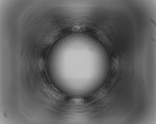 X0000103470659200809191837