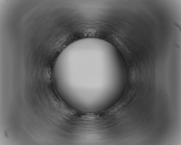 X0000103470661200809191837