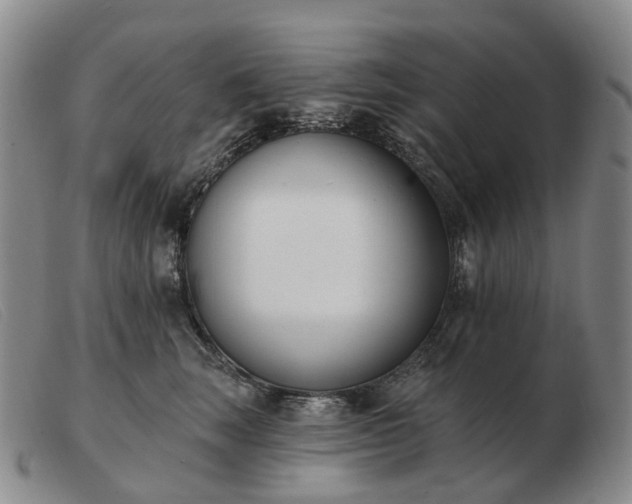 X0000103470663200809191837