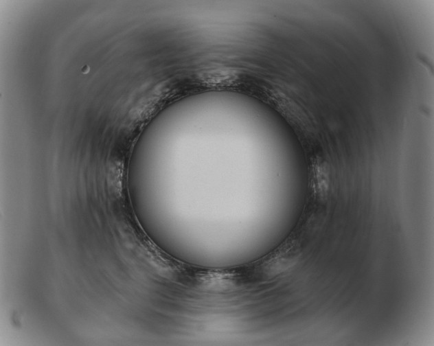 X0000103470664200809191837