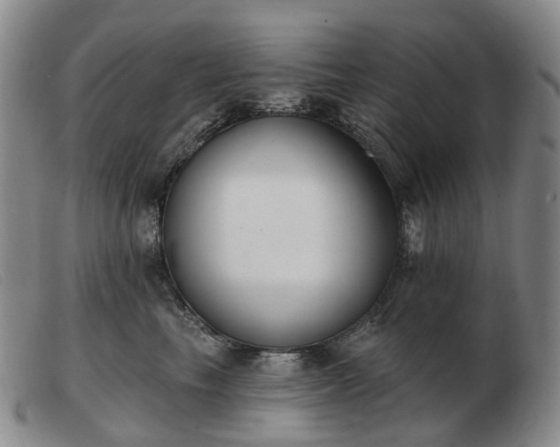 X0000103470665200809191837