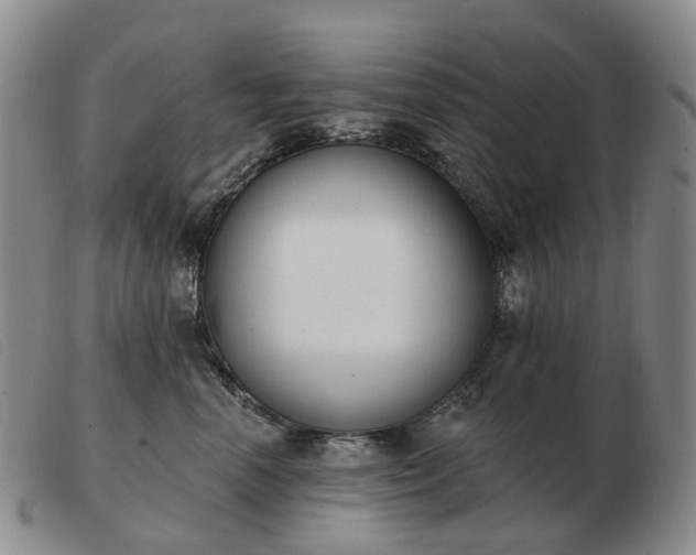 X0000103470666200809191837