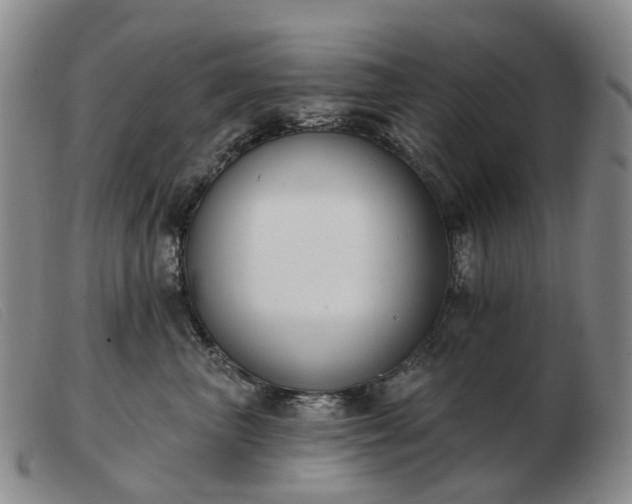 X0000103470667200809191837