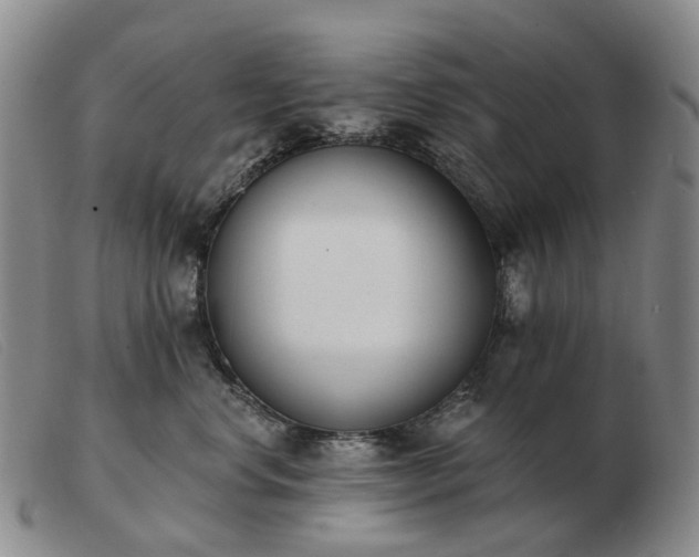 X0000103470668200809191837