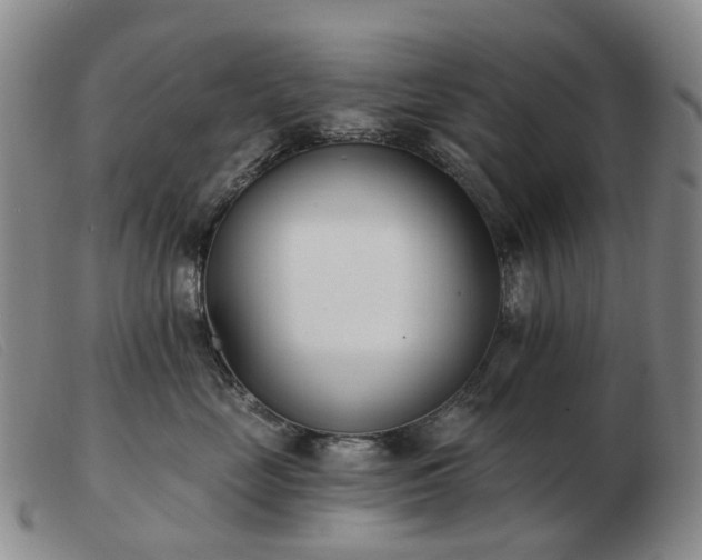 X0000103470669200809191837