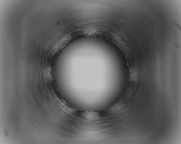 X0000103470670200809191837