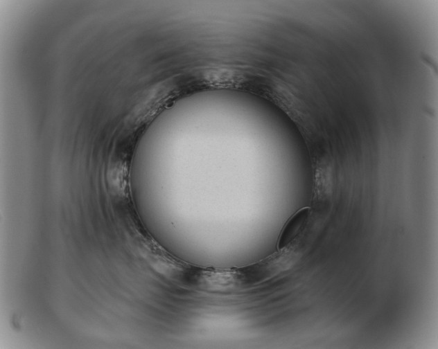 X0000103470671200809191837