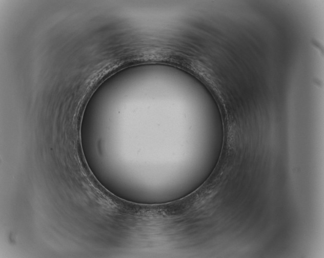 X0000103470673200809191836