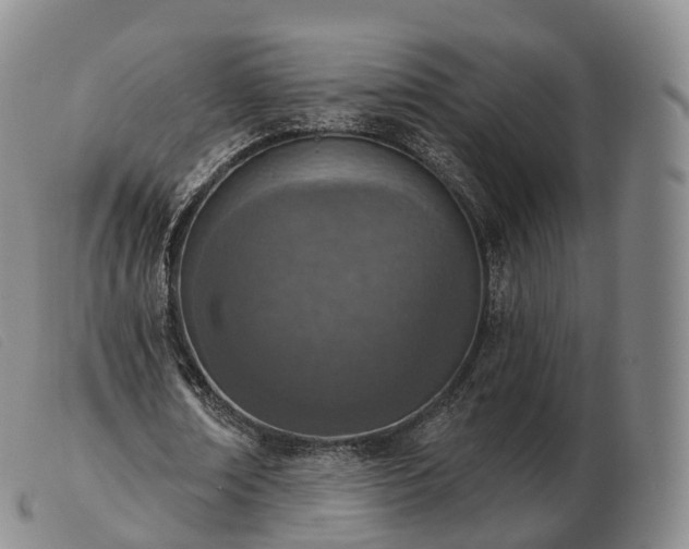 X0000103470674200809191836