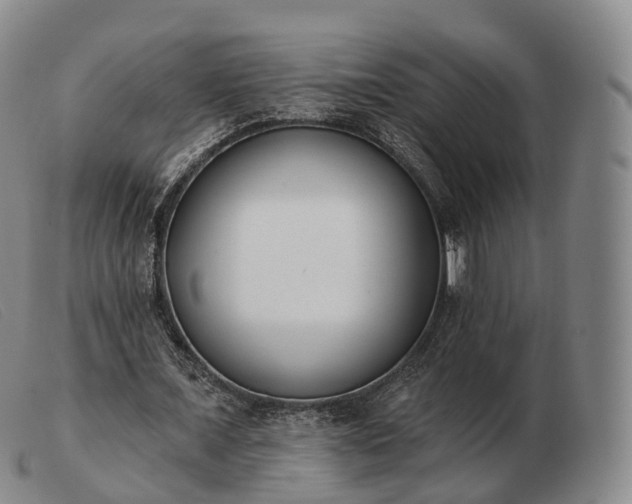 X0000103470675200809191836