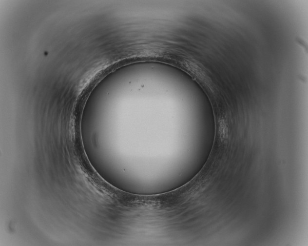 X0000103470676200809191836