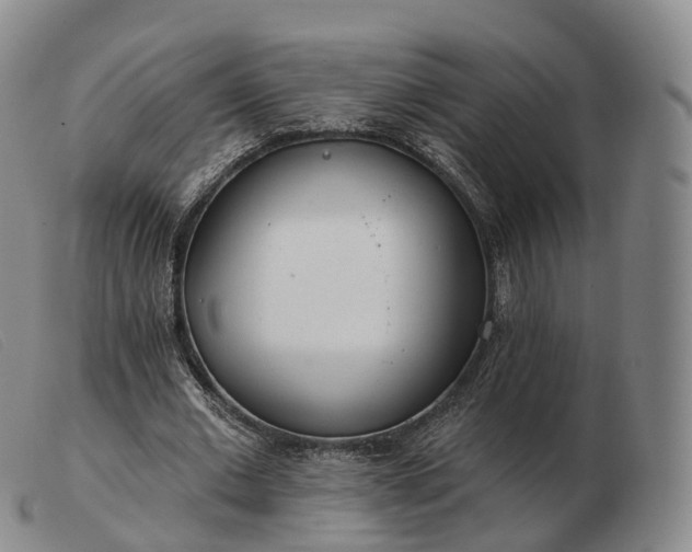 X0000103470677200809191836