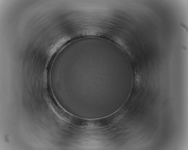 X0000103470678200809191836