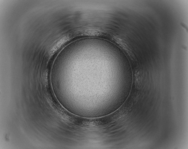 X0000103470679200809191836