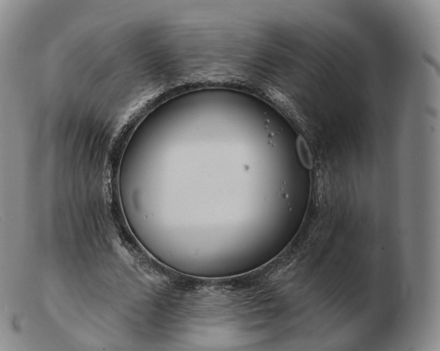 X0000103470680200809191836