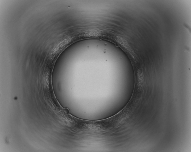 X0000103470681200809191836